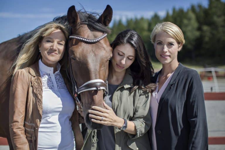 Horsemeup ökade med 50 procent - tar in 11 miljoner