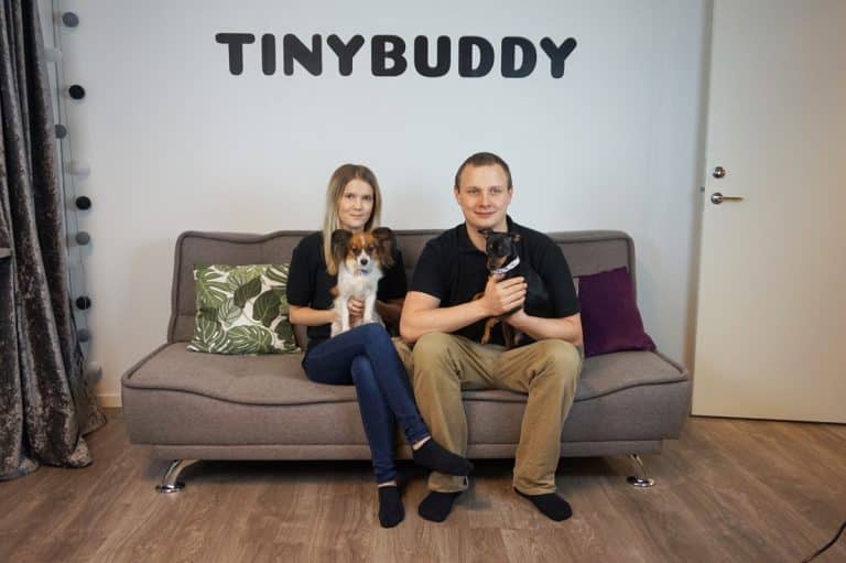 Tinybuddys succéår: "Ett ton hundgodis i köket"