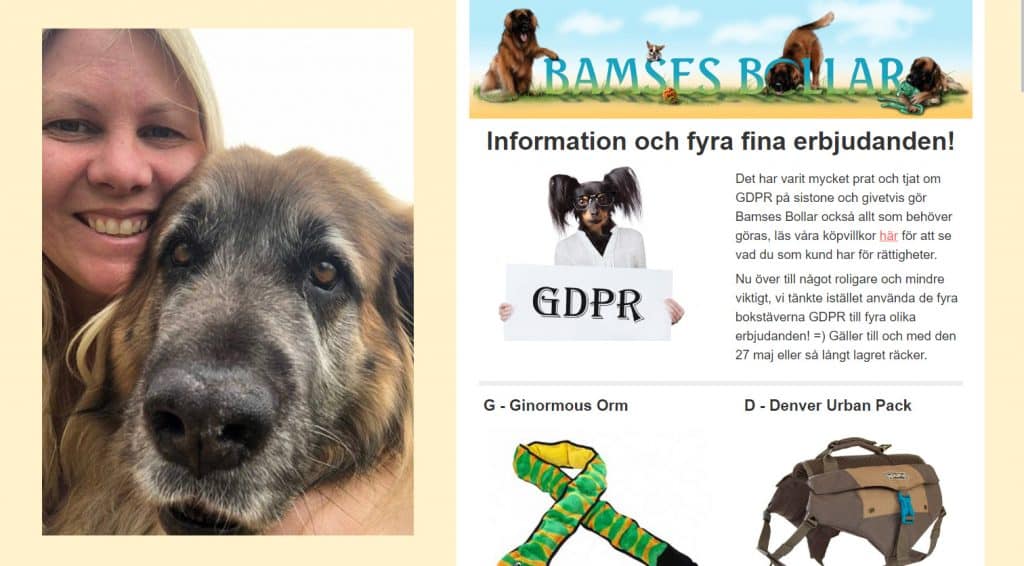 Hon gjorde GDPR till kampanj: "Kunde bli en positiv vibb"