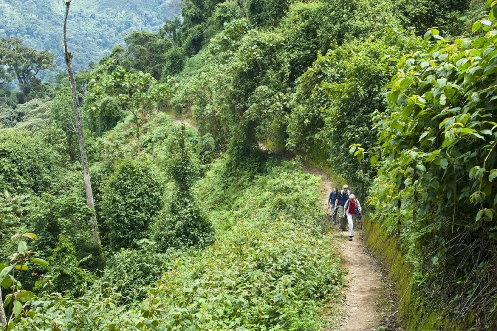 Planer på stort drönarnätverk för e-handel i Rwanda